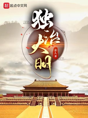 《独治大明》小说阅读