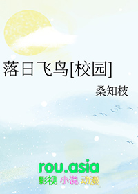 落日飞车上海演唱会