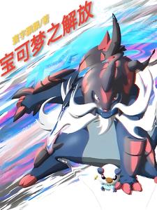 宝可梦解放无界月之石
