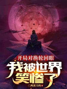 轮回眼中的火影